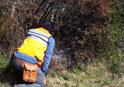 حقيقة الكرات النارية التي سقطت على تشيلي