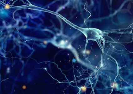 طرق طبيعية لتوازن الهرمونات في الجسم