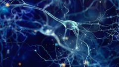 طرق طبيعية لتوازن الهرمونات في الجسم