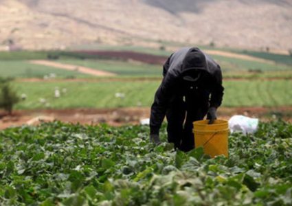 وزير الزراعة: نظام التأمين هدفه تمكين المزارع الفلسطيني