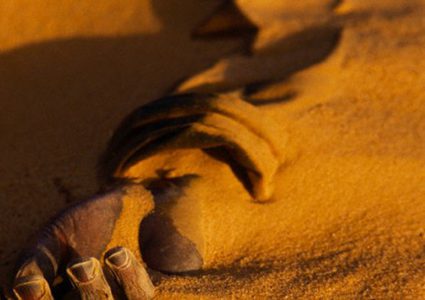 "حادثة مرعبة" تسلط الضوء على عادة وأد البنات في الهند