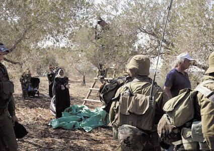 اقتحام لبرك سليمان جنوب بيت لحم واعتداءات على قاطفي الزيتون