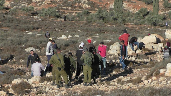 مستوطنون يعتدون على قاطفي الزيتون جنوب نابلس