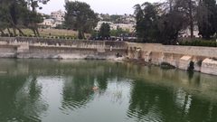 مستوطنون يقتحمون برك سليمان ويؤدون طقوسا تلمودية