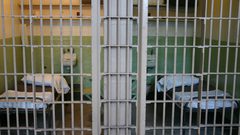 تدهور الوضع الصحي للأسيرين المضربين علي وقعدان