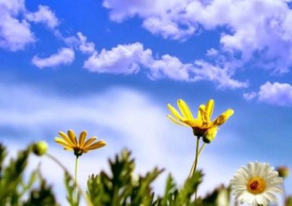 طقس معتدل وأجواء لطيفة