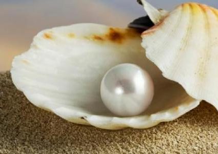 أبو ظبي.. العثور على أقدم لؤلؤة في العالم