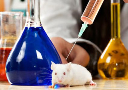 شاهد فئران تتعلم قيادة سيارات مصغرة لجمع الطعام