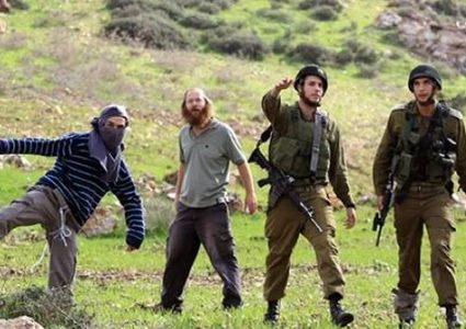 الاحتلال يعتدي على المشاركين بقطف الزيتون في اللبن الشرقي