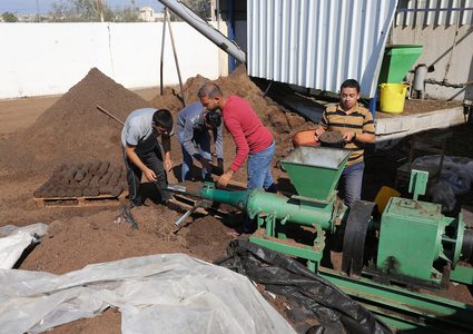 مواطنون يصنعون قوالب من لب الزيتون والذي يستخدم كمصدر للطاقة في إحدى معاصر خان يونس