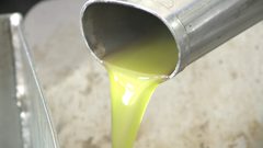 التزام المزارعين بتعليمات الزراعة ضاعف من انتاج الزيتون