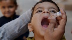 في يومه العالمي.. أبرز الحقائق حول مرض شلل الأطفال