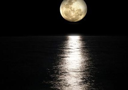 فايبر.. إنسان آلي مهمته البحث عن مكامن المياه في القمر