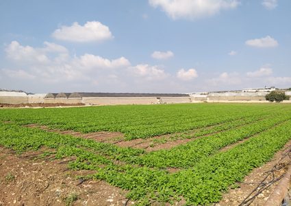 سهل علار يغرق شتاءً.. مناشدات المزارعين بمهب الريح