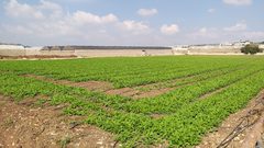 سهل علار يغرق شتاءً.. مناشدات المزارعين بمهب الريح