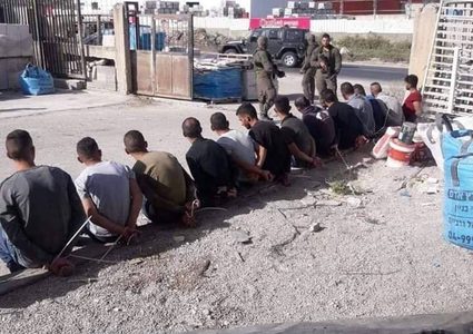 اعتقال 12 عاملا جنوب غرب جنين