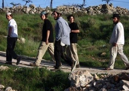 مستوطنون يغرقون أراضي زراعية شرق نابلس بالمياه العادمة