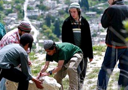 مستوطنون يهاجمون قاطفي الزيتون في روجيب