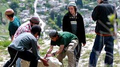 مستوطنون يهاجمون قاطفي الزيتون في روجيب