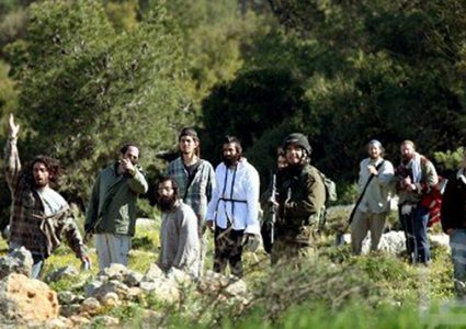 مستوطنون يسرقون ثمار الزيتون جنوب شرق نابلس