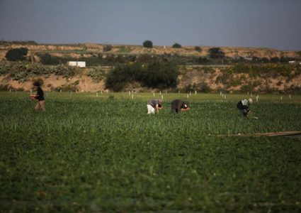 الاحتلال يستهدف المزارعين شرق خانيونس
