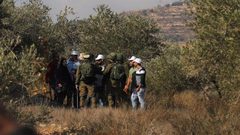 يوم تطوعي لقطف الزيتون شمال غرب رام الله