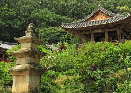 مسنة تعود للحياة قبل لحظات من حرق جثتها!