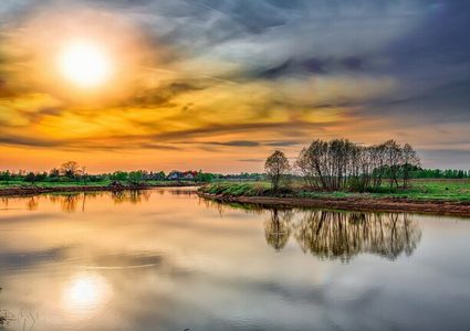 ما العلاقة بين ضوء الشمس وتحسين عمل الأمعاء؟