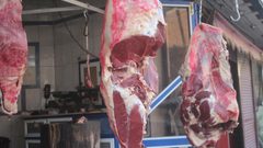 حماية المستهلك: نراقب الإلتزام بأسعار بيع اللحوم في الاسواق