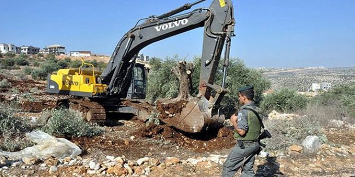الاحتلال يجرف أراضي في العيسوية