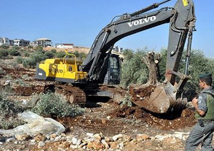 الاحتلال يجرف أراضي في العيسوية