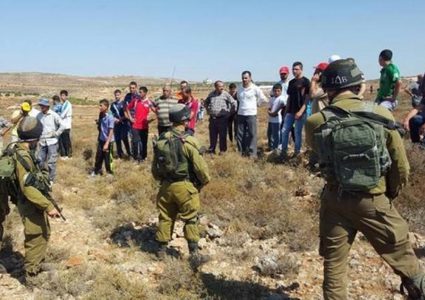 الاحتلال يمنع المزارعين من الوصول إلى أراضيهم