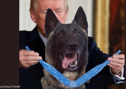 ترامب يستعين بالفوتوشوب لتكريم "الكلب البطل" !