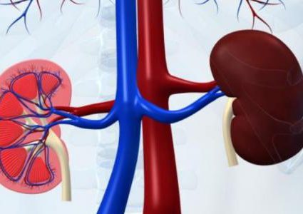 أبرز أعراض المعاناة من تضخم الكلى