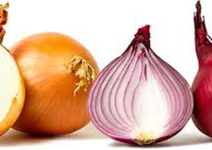 ما هي الفوائد الصحية للبصل الأحمر والأبيض ؟