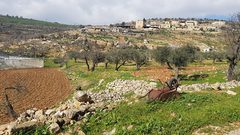 الصليب الاحمر يتم مشروع حظائر أغنام لأهالي قرية يانون جنوب نابلس