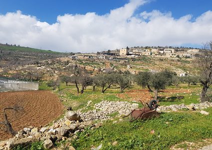 الصليب الاحمر يتم مشروع حظائر أغنام لأهالي قرية يانون جنوب نابلس