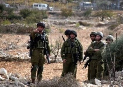 نابلس: الاحتلال يطرد قاطفي الزيتون من أراضيهم