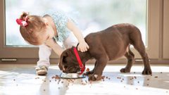 للحوامل.. تربية الحيوانات تعرض جنينك لخطر الربو