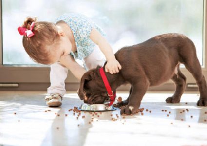 للحوامل.. تربية الحيوانات تعرض جنينك لخطر الربو