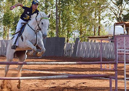 امر غريب .. سماد الخيول لتوليد الكهرباء
