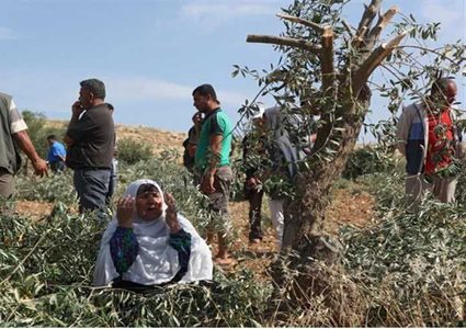 مستوطنون يطردون المزارعين من أراضيهم جنوب نابلس