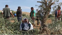 مستوطنون يطردون المزارعين من أراضيهم جنوب نابلس