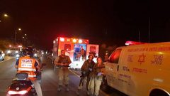 مستوطن يدهس فتاة جنوب بيت لحم