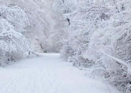روسيا.. الصدفة تنفذ 4 أشخاص علقوا في "الجحيم الأبيض"