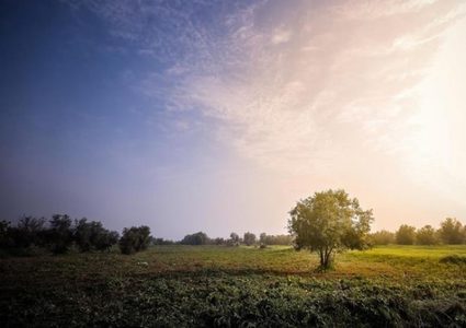 ارتفاع طفيف واجواء صافية