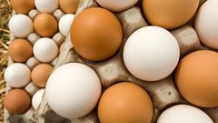 كم بيضة يجب أن تتناول يومياً