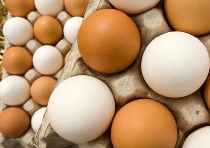 كم بيضة يجب أن تتناول يومياً