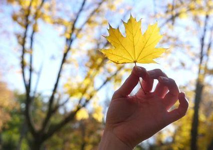 أجواء خريفية معتدلة