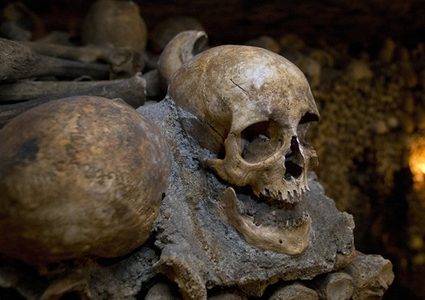 هيكل عظمي زاحف يظهر في الشارع!